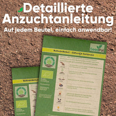 Kräutersamen Set - 12 Beliebtesten Küchenkräuter - Kräuter der Provence, Olasz Kräuter - Kräutergarten für Küche oder Balkon - Samen Saatgut - Gartenkräuter Sorten