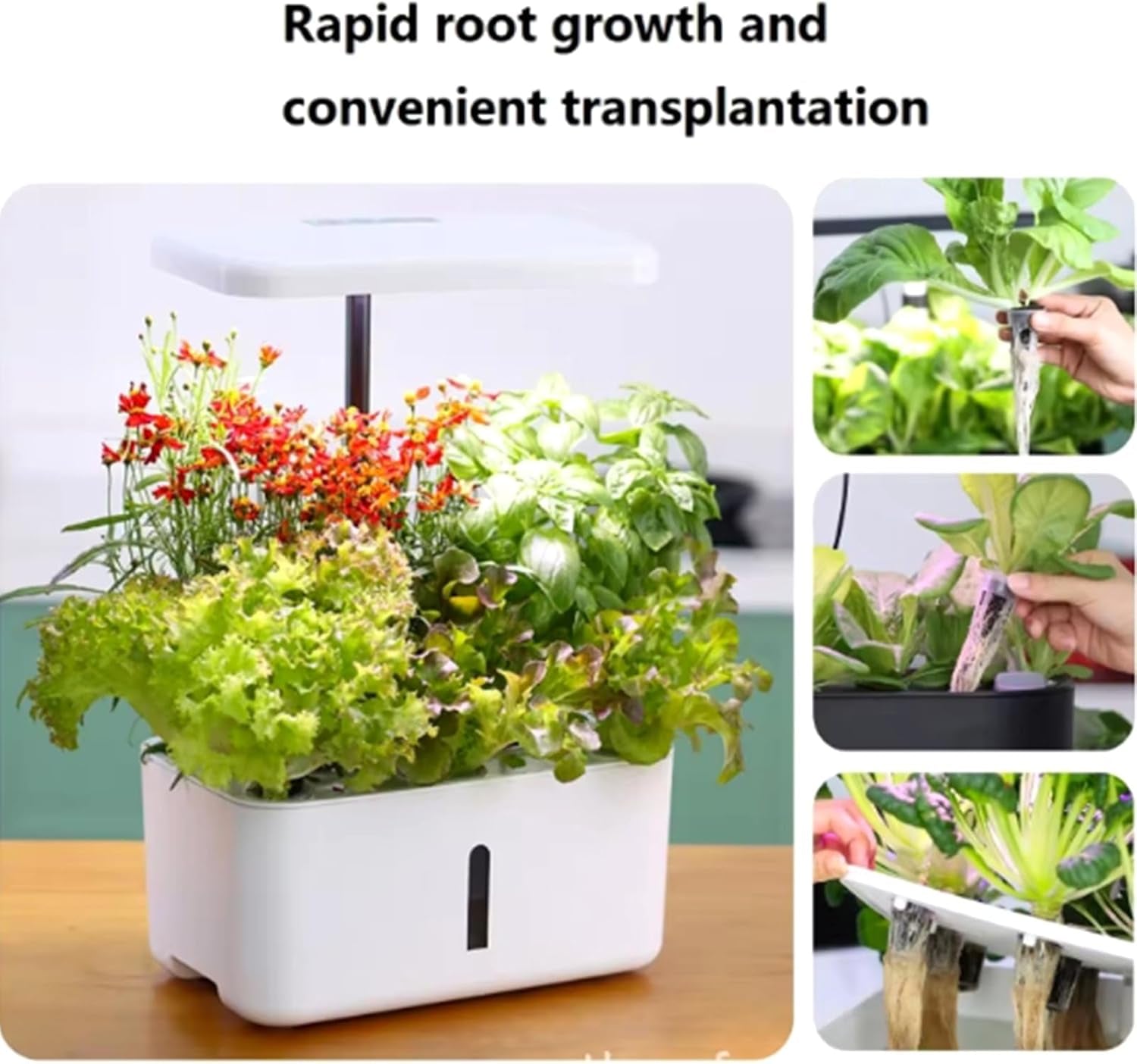 50 csereszivacs, vetőmagtelepítő csövek, gyökértermesztő szivacsdugók, hidroponikus termesztőkészletek hidroponikus termesztőrendszerekhez, beltéri hidroponika, kert