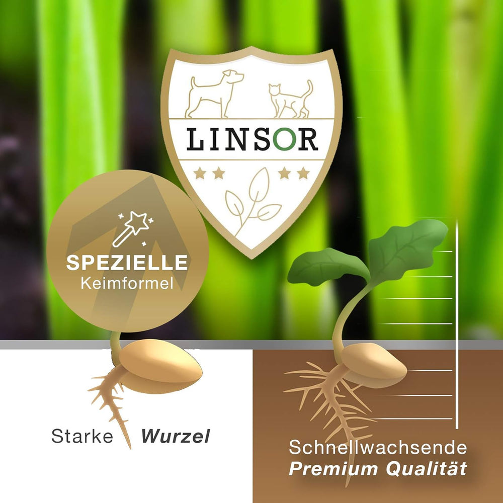 Gründüngung Frühlingsaussaat, Stickstoffreich Humusbildend, 1Kg Für 333M²