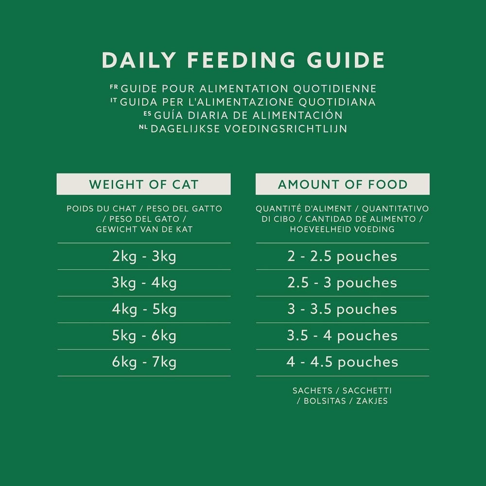 Hrană umedă pentru pisici de la Amazon, fără cereale, pentru pisici adulte, selecție mixtă în jeleu, 4,8 kg (48 de pachete a câte 100 g fiecare)