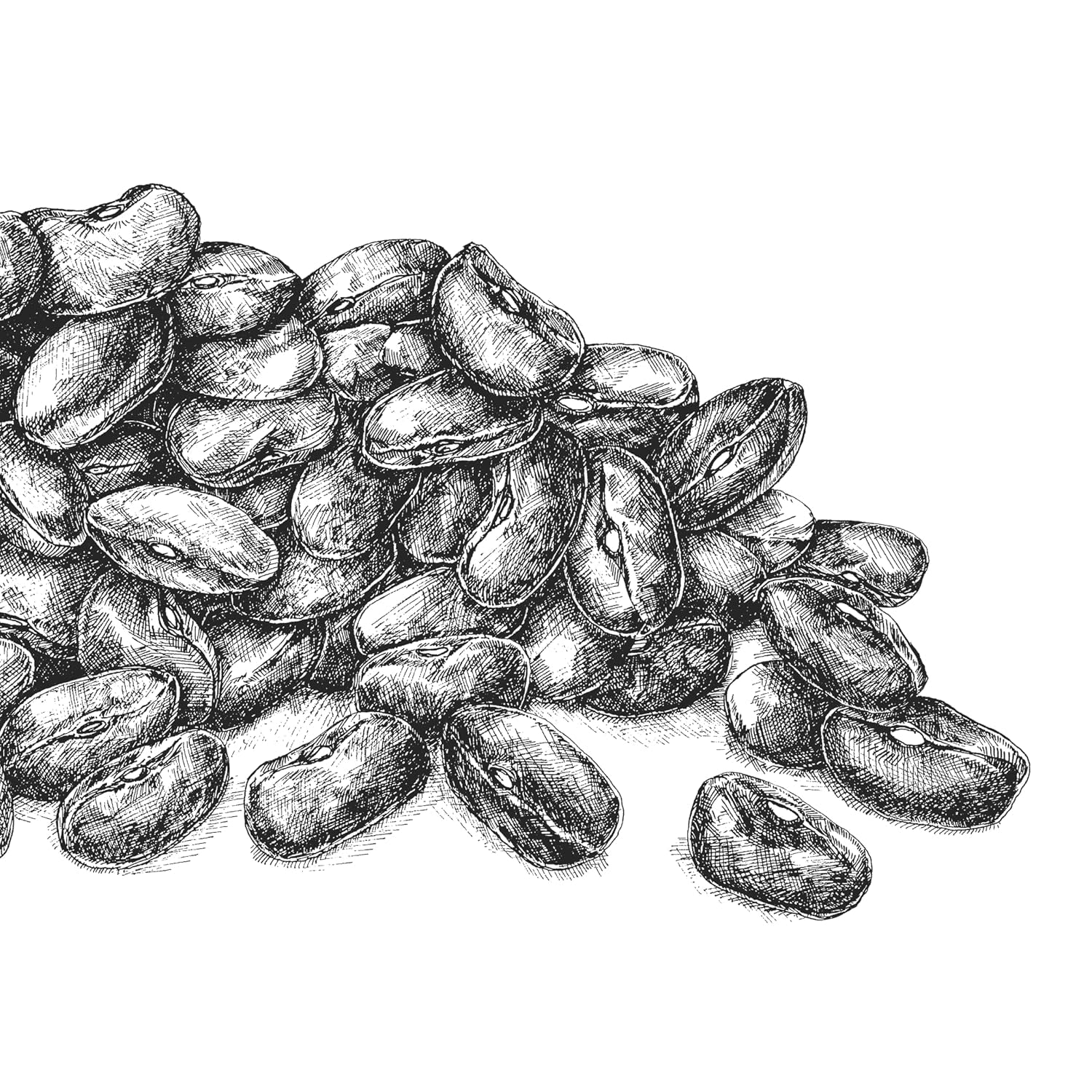 Hajdina BioGourmet Demeter – 500g zacskó | Gluténmentes, magas rosttartalmú és regionális | Német biogazdálkodásból (Baden-Württemberg/Bajorország) | Ideális müzlihez, salátákhoz és köretekhez