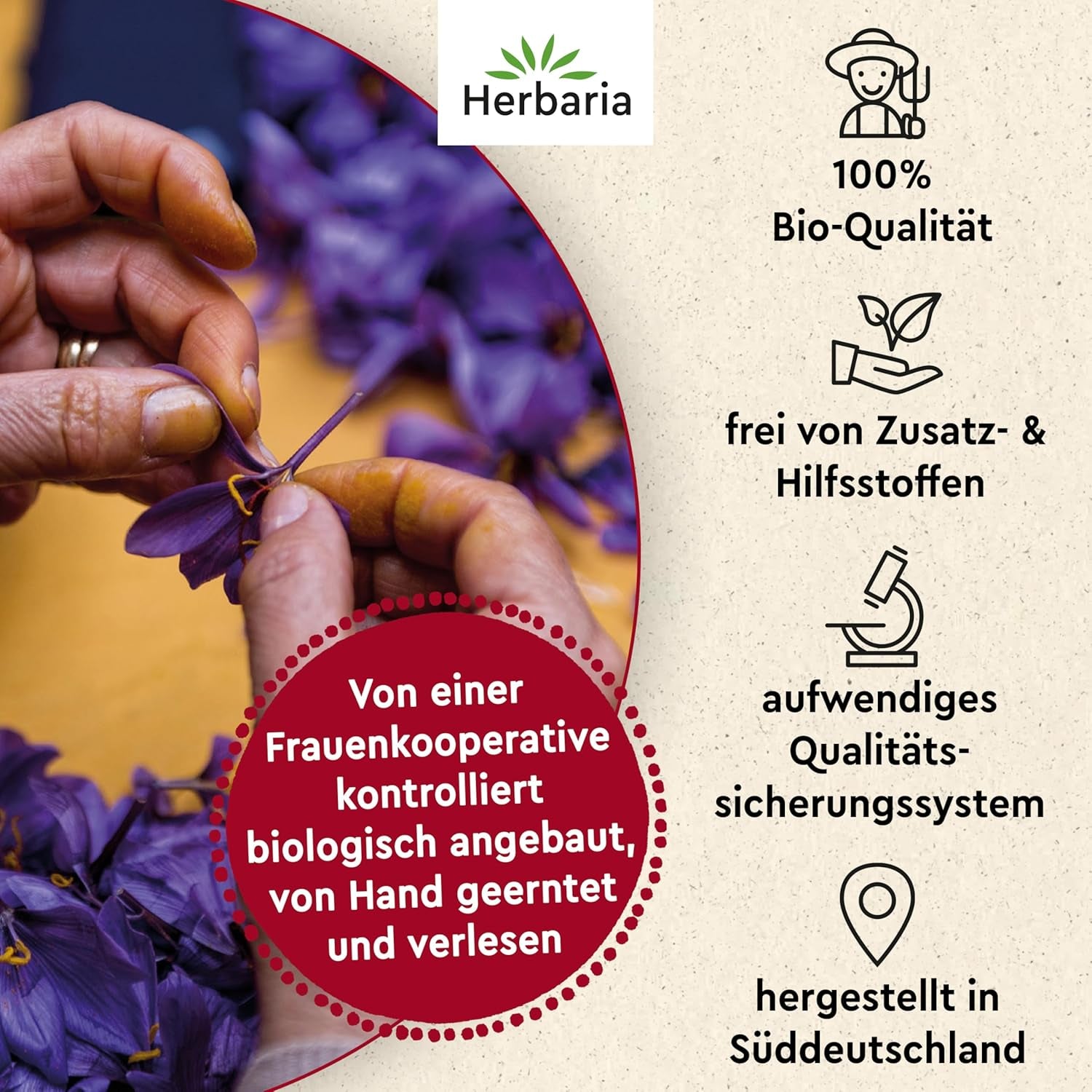 Herbaria Safran-Fäden bio 0,5g im Glas – Bio Saffron-Fäden aus dem bereicht Safran-Ort Taliouine in Marokko – Safranfäden in Premium Bio-Qualität – Saffron Premium – Safran première catégorie