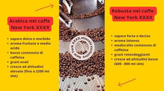 Caffè New York - XXXX - Boabe de cafea, aromă intensă dar fină, Arabica și prăjire medie robustă, pentru măcinare, espresso italian, amestec de bar - calitate înaltă din 1930 - 1 kg, boabe