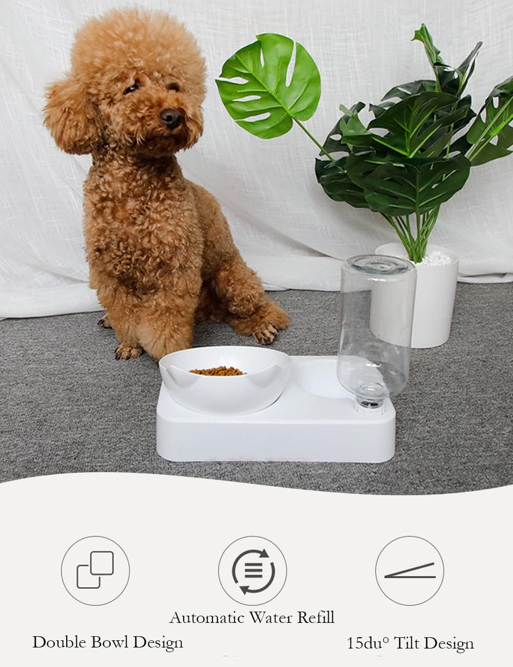Márka Katzennapf, 15° Neigbar mit Automatischer Wasserflasche, gekippter erhöheter Wassernapf für Kleine und Mittelgroße Hunde und Katzen