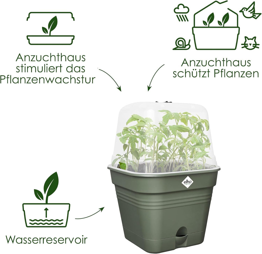 elho Green Basics Ghiveci Pătrat pentru Răsaduri Allin1 15 - Ghiveci pentru Flori pentru Cultivare - 100% Plastic Reciclat - Ø 15.0 x H 12.1 cm - Verde/Verde Frunză