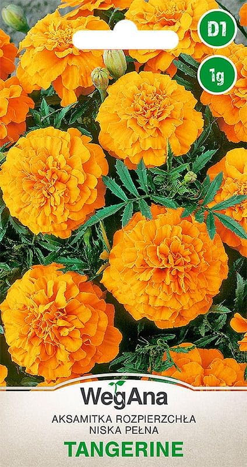 Cosmos Sensation Mix 1g mag, Cosmos Mix Nyári virágok, Kerti növények Erkélynövények, Virágmagok