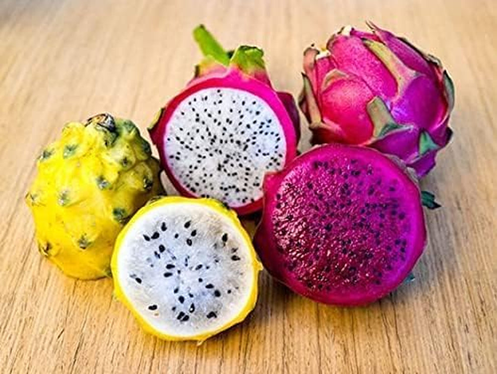 3 Pitaya-Pflanzen, Verschiedene Sorten, Gelb, Rot, Weiß, 30 – 40 Cm, Drachenfrucht, Zamoran, Guyute, Golden Yellow Vivaio Amazonseeds