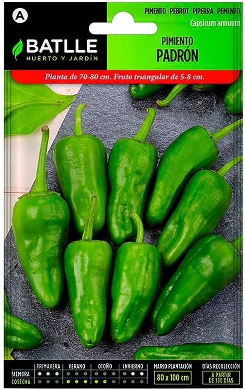 Batlle Gemüsesamen - Chili Paprika - Pimiento Padrón (150 Samen)