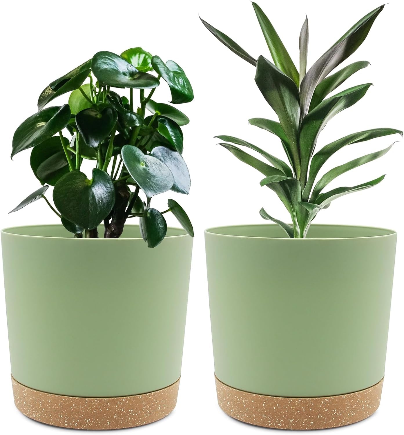 Ghiveci de flori set de 2 12,7 cm, ghivece pentru plante de interior cu găuri de drenaj și bază detașabilă, farfurioare decorative moderne pentru jardiniere de grădină de exterior (alb 12,7 cm)