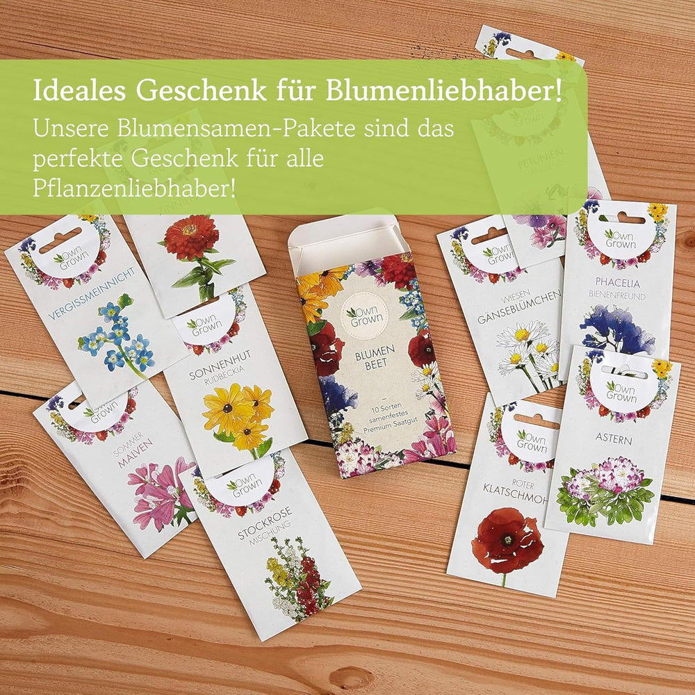 Echinacea magok: Prémium sárga echinacea magok körülbelül 20 virágzó echinacea növényhez – Rudbeckia magok – Hardy Rudbeckia – Echinacea évelők – Hardy évelők, OwnGrown