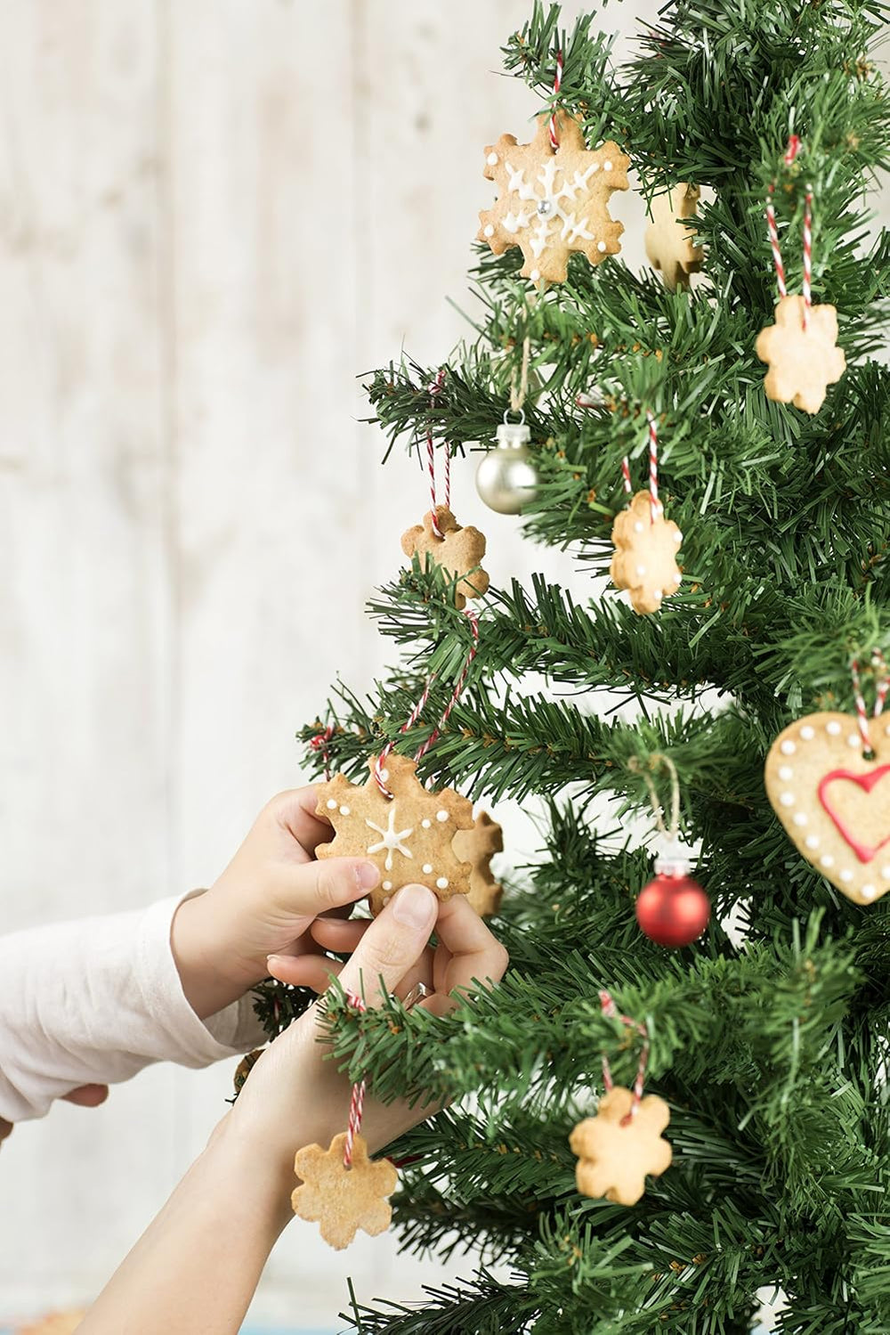 Forme de biscuiți de Crăciun Lékué, set de 3