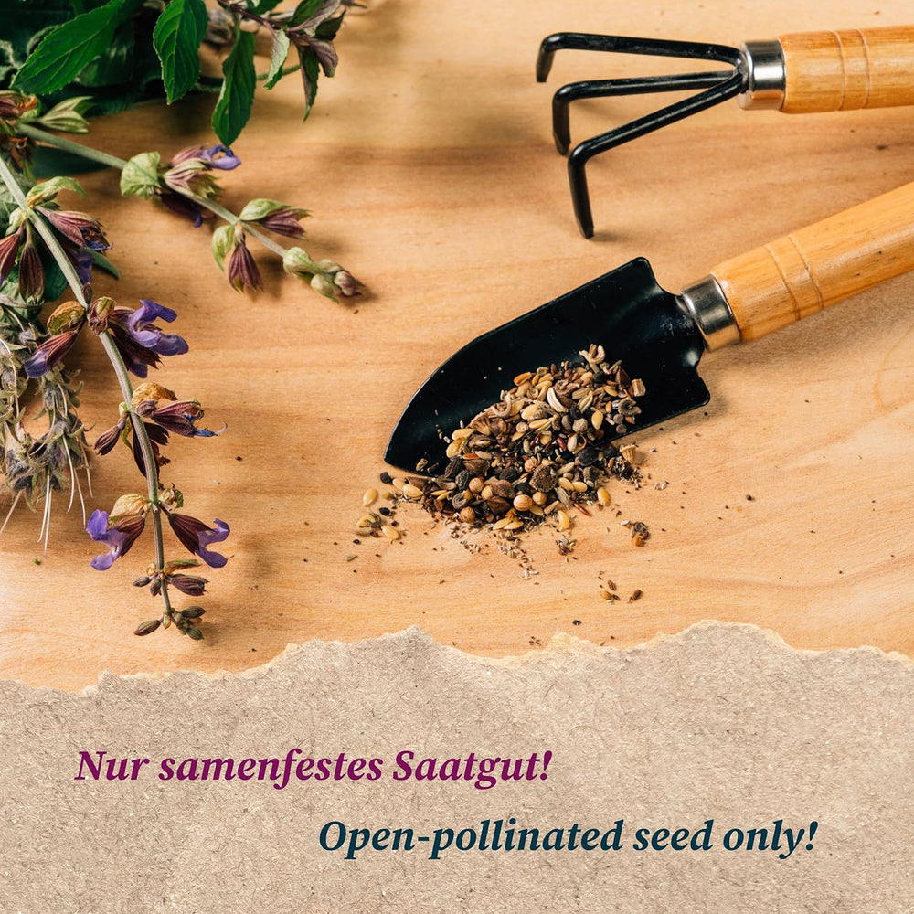 Ukrainische Rote Buschtomate (Solanum Lycopersicum) Eierförmig10 Samen