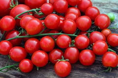 Miel Du Mexique BIO Tomatensamen Von Bobby-Seeds Portion