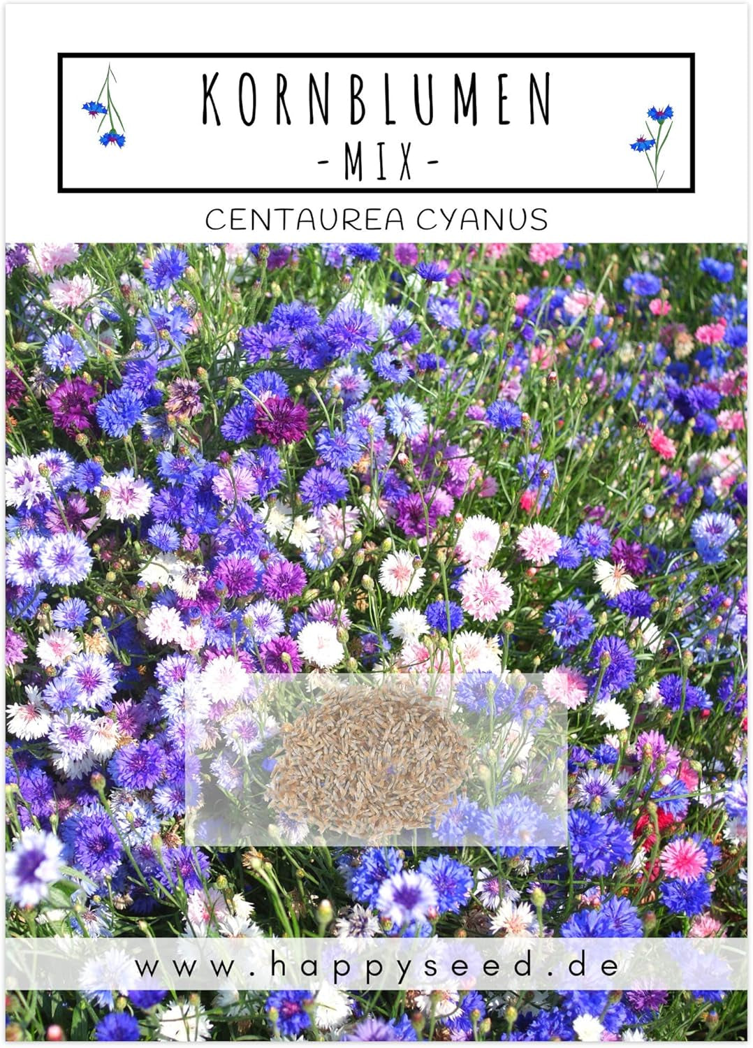 Centaurea cyanus magvak - Gyönyörű és élénk virágok hosszú virágzási periódussal egy színes virágos réthez (Mix, 1000 mag, 80 cm)