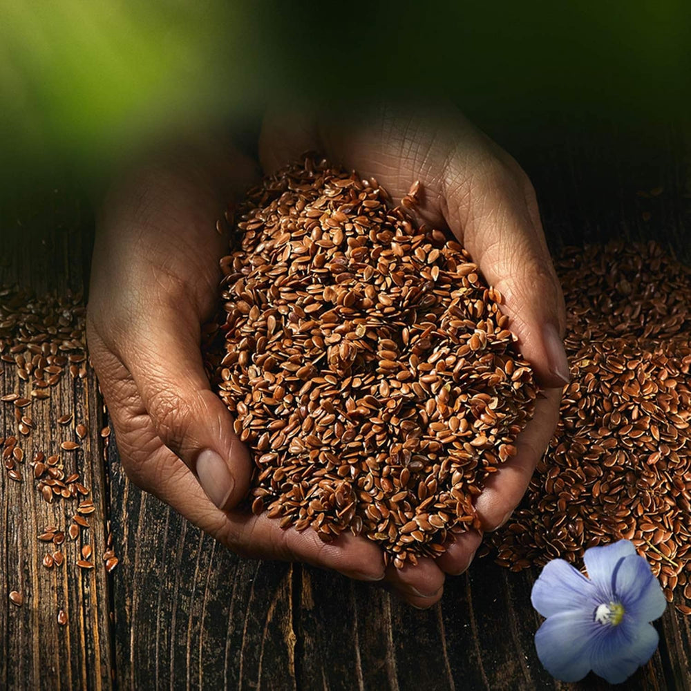 Biocentral egész lenmag | 7 x 400g bio lenmag | Ideális joghurthoz, müzlihez és kenyérhez | Alternatívája a psylliumnak, a kendermagnak és a chia magnak