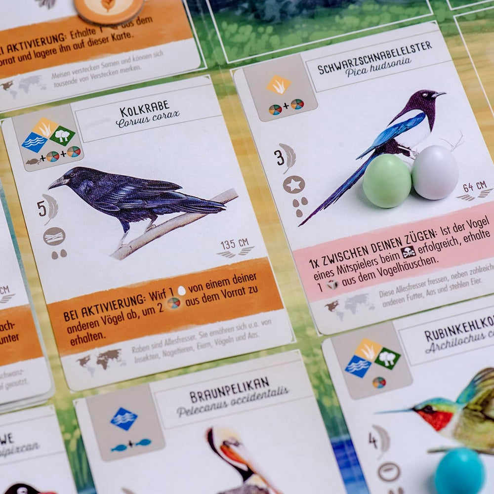 Feuerland Spiele 104-146-901 63558 Wingspan társasjáték, német kiadás – Kennerspiel des Jahres 2019 (kritikusok díja)