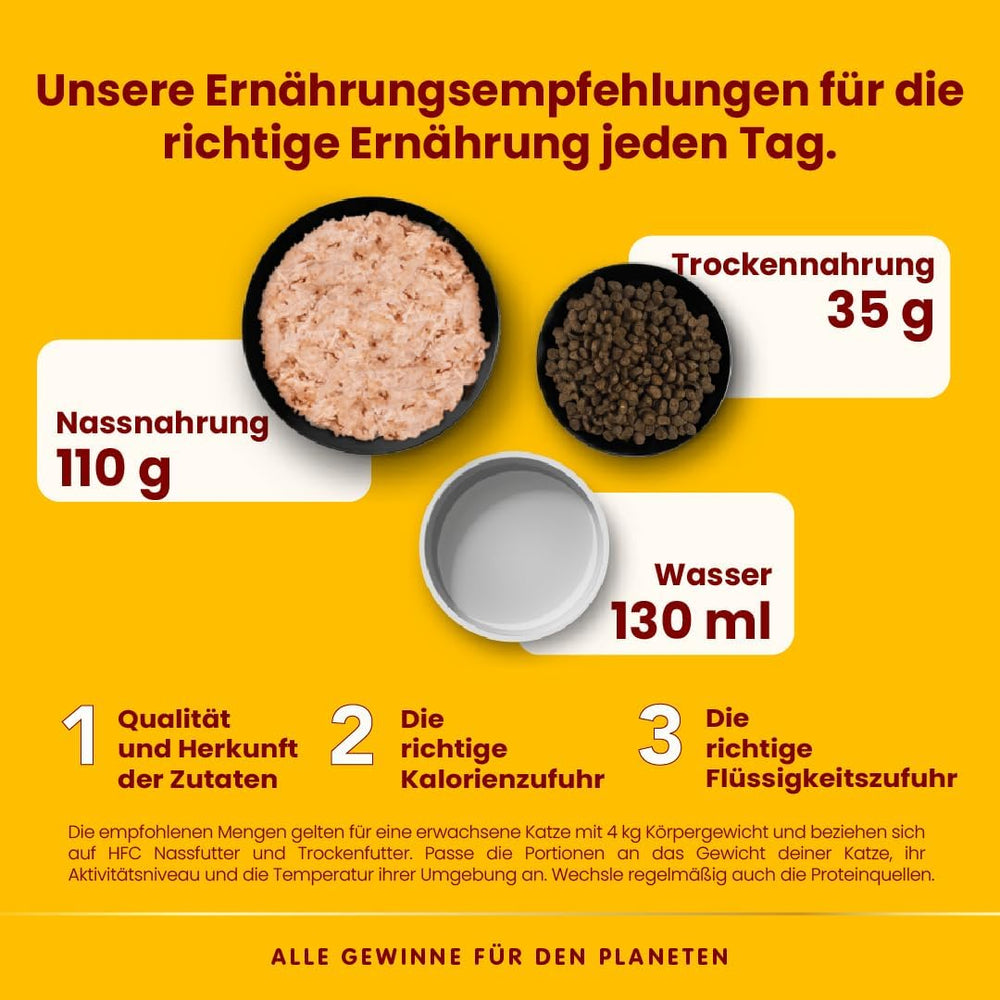 Almo Nature HFC Jelly - Nassfutter für ausgewachsene Katzen - Lachs - Human Grade, Glutenfrei & Monoprotein - 6 x 70g