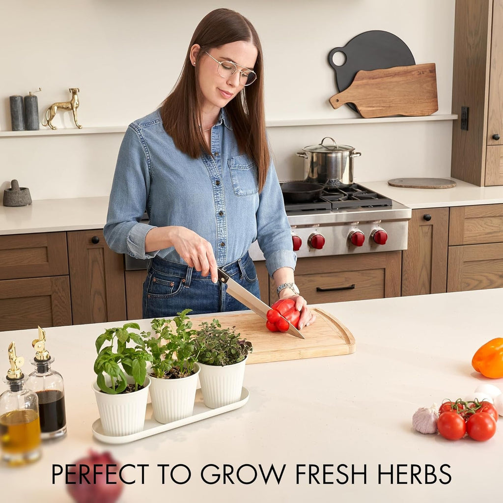 Set de 3 ghivece frumoase pentru grădină de plante aromatice, perfecte pentru orice pervaz sau blat de bucătărie, un set modern de ghivece decorative pentru grădină, inclusiv tavă și...