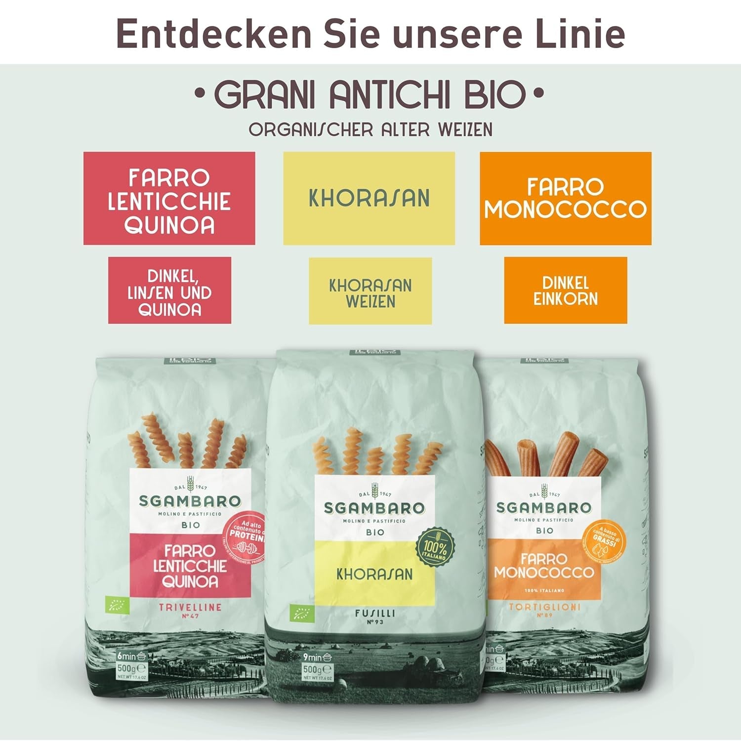 Paste spaghete organice nr. 5 - 500 g din grâu Khorasan – Grâu antic, bogat în proteine, cultivat 100% italian – Versatile în bucătărie și bogate în nutrienți