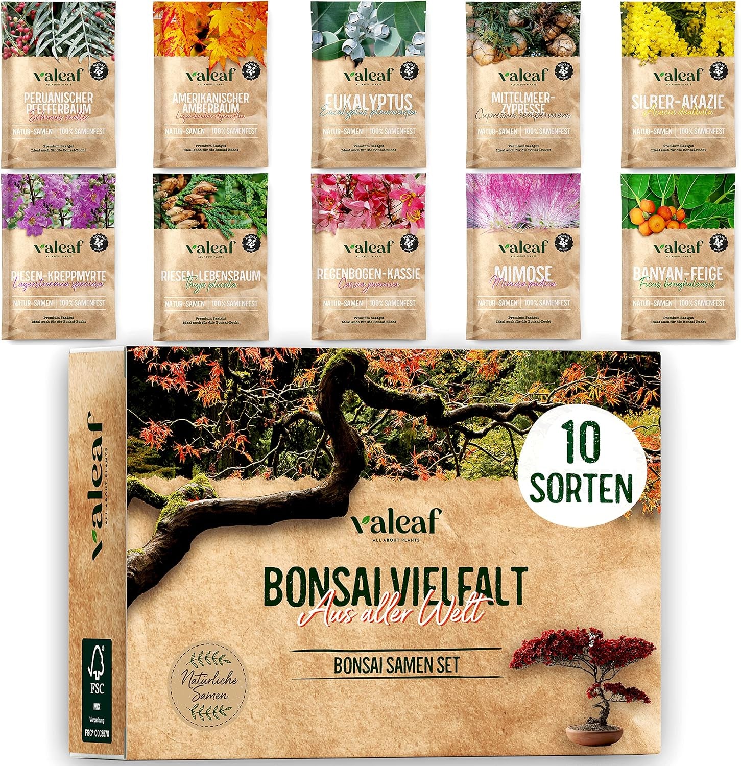 10 bonsai mag 5 kontinensről | Egzotikus famagok egyedi bonsaihoz | Kezdőkészlet és a növények szerelmesei | Bonsai készletünk különleges ajándékötlet