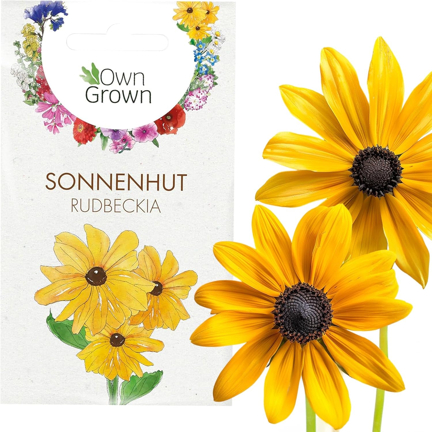 Echinacea magok: Prémium sárga echinacea magok körülbelül 20 virágzó echinacea növényhez – Rudbeckia magok – Hardy Rudbeckia – Echinacea évelők – Hardy évelők, OwnGrown