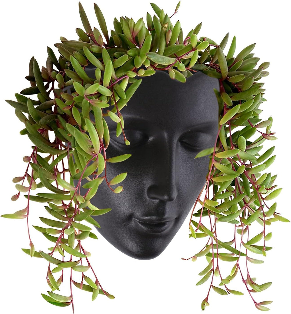 Jardinieră Notakia cu față, montată pe perete, pentru uz interior și exterior, cu drenaj, pentru suculente, cactuși și plante mici, decorațiune unică pentru casă, cadou pentru prieteni și familie