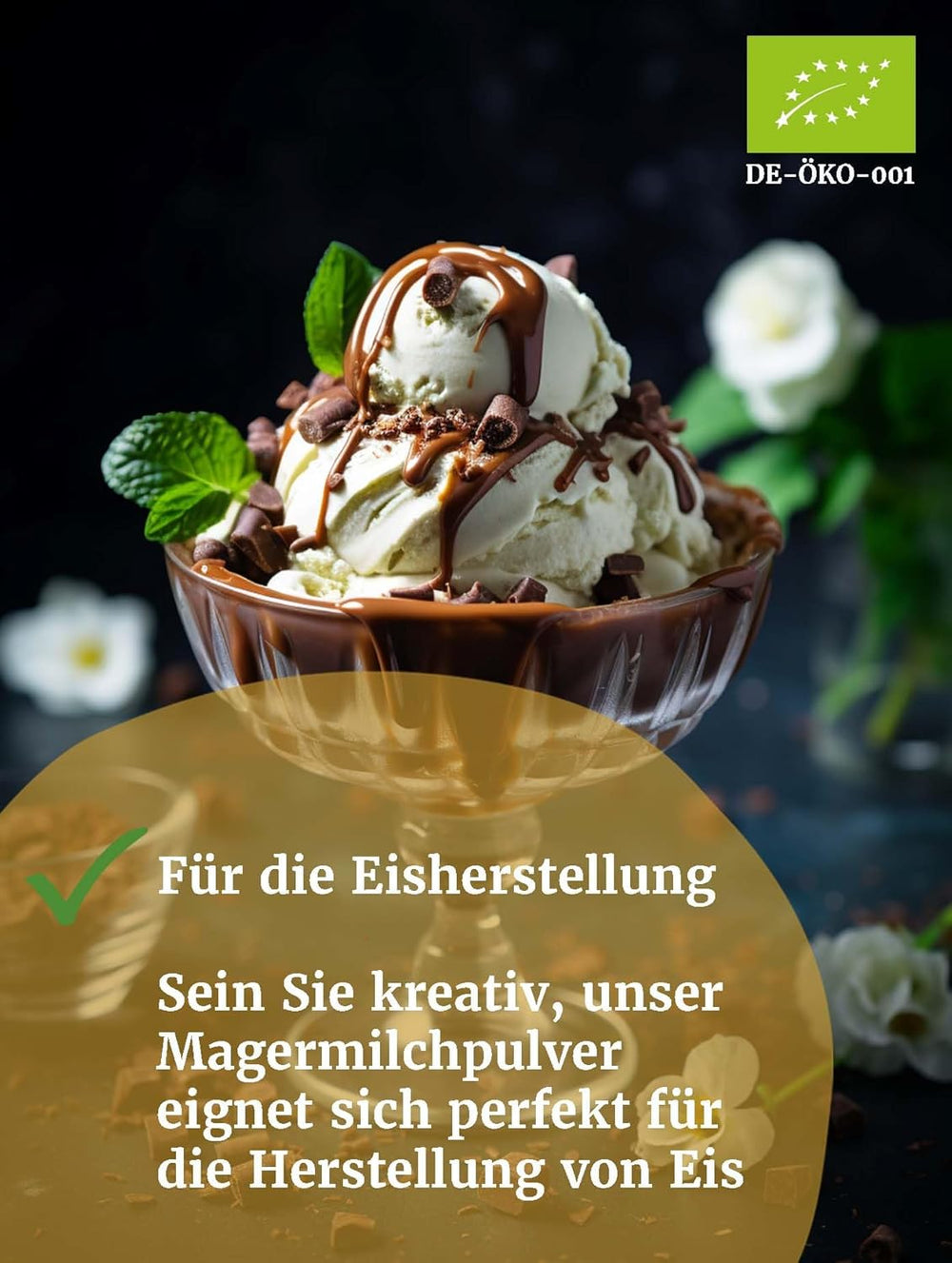 Bäckerei Spiegelhauer Bio Mager-Milchpulver 500 g Bio Milchpulver ohne Zusätze tejpor I auch geeignet für Joghurt-Herstellung, Eis-Herstellung I Trockenmilchpulver, Beutel