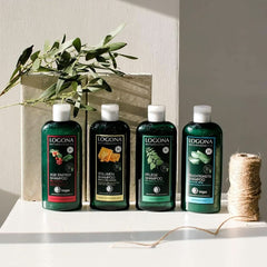 LOGONA natúrkozmetikumok, sampon, bio koffein vegán formula, 250 ml zuhany és fürdő Naty Shop