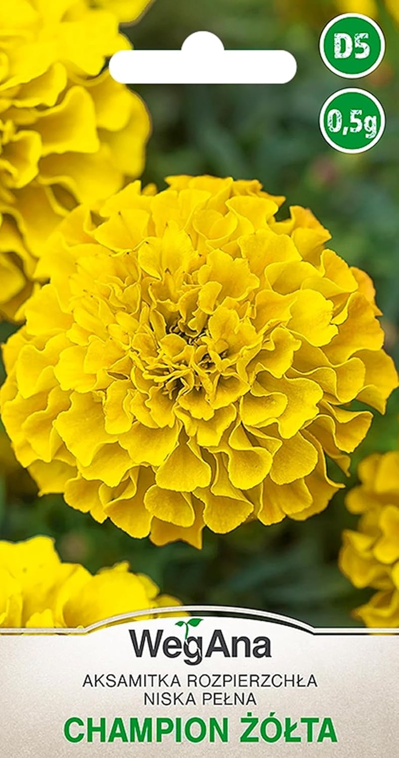 Cosmos Sensation Mix 1g mag, Cosmos Mix Nyári virágok, Kerti növények Erkélynövények, Virágmagok