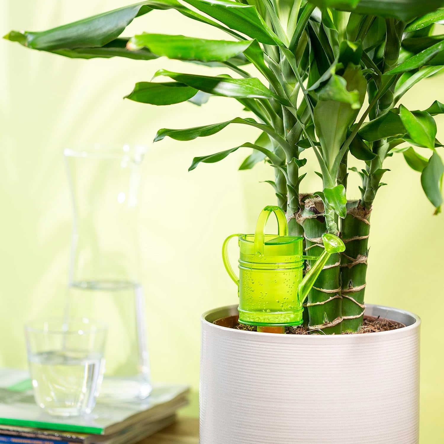 Scheurich Nelly M, rezervor de apă din plastic, culoare: Nelly M, verde, 13 cm lățime, 7 cm adâncime, 22 cm înălțime, volum 0,2 l.