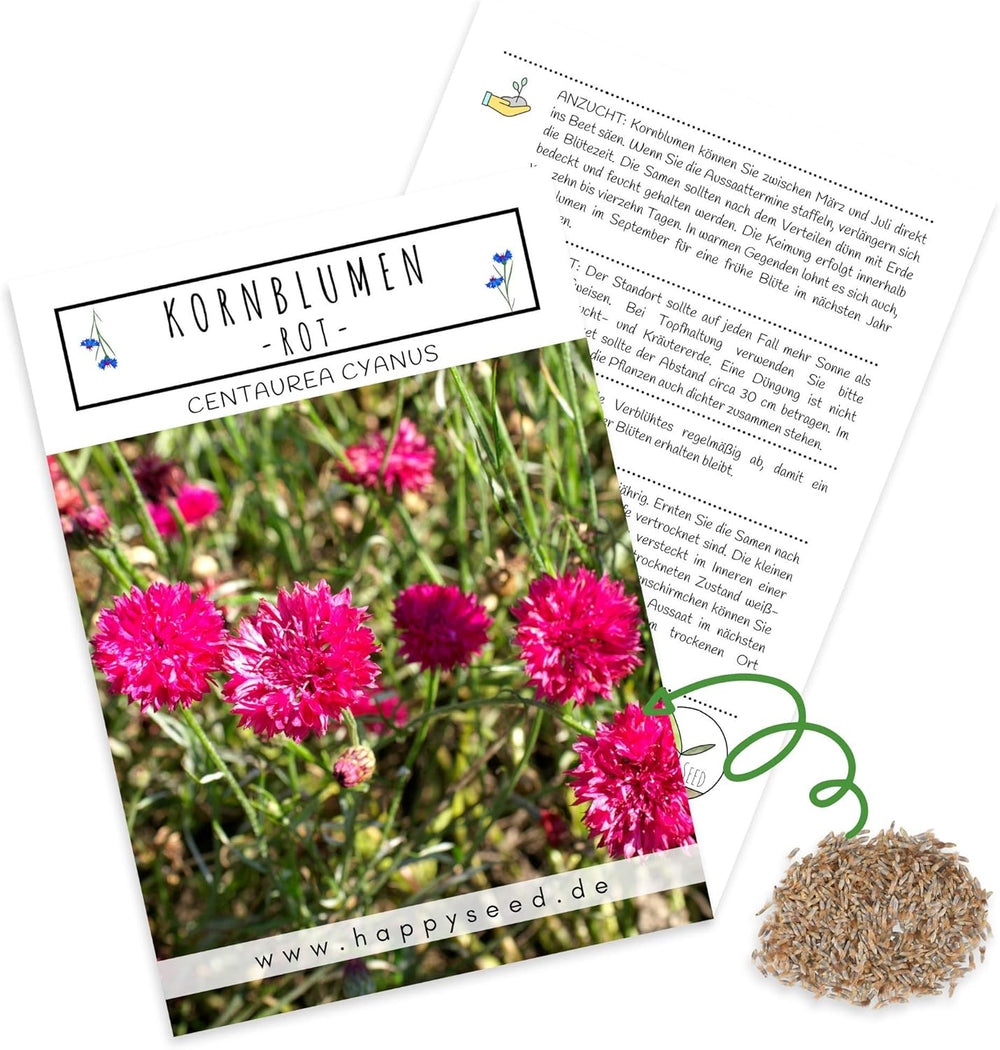 Centaurea cyanus magvak - Gyönyörű és élénk virágok hosszú virágzási periódussal egy színes virágos réthez (Mix, 1000 mag, 80 cm)