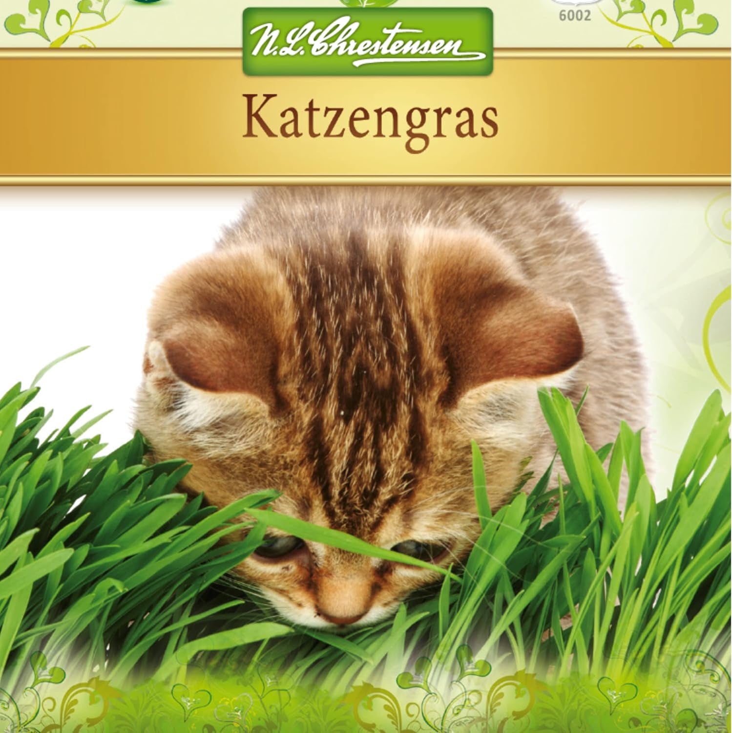 Premium Katzengras Samen Chrestensen, Grassamen Schnellkeimend, 1 Dose 110 G, Reicht Für Ca. 4-5 M² Katzengras Fertig Gewachsen, Natürliche Katzen Leckerlies Zu Hause