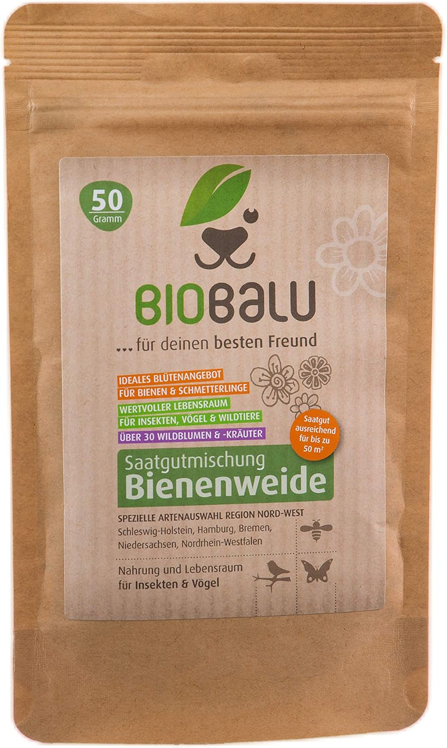Méhmagok - réti vadvirágok, évelő és télálló, magvak - több mint 40 őshonos virág és vadon termő fűszernövény, különleges fajválogatás Dél-Németország számára, 50g
