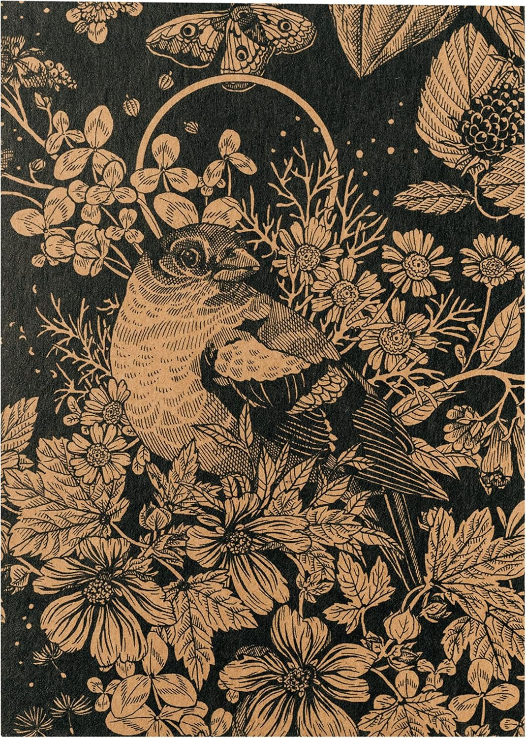 Kedvenc növényeink: Évelők és Nyári Virágok Virágkedvelőknek (Organic) - Magvak ajándékkészlet 6 kedves fajtával egy vad virágrobbanáshoz - boldoggá tesz!