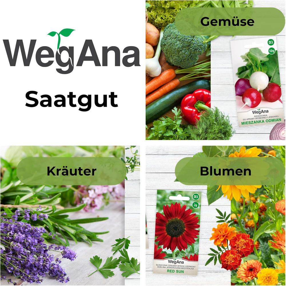 Cosmos Sensation Mix 1g mag, Cosmos Mix Nyári virágok, Kerti növények Erkélynövények, Virágmagok