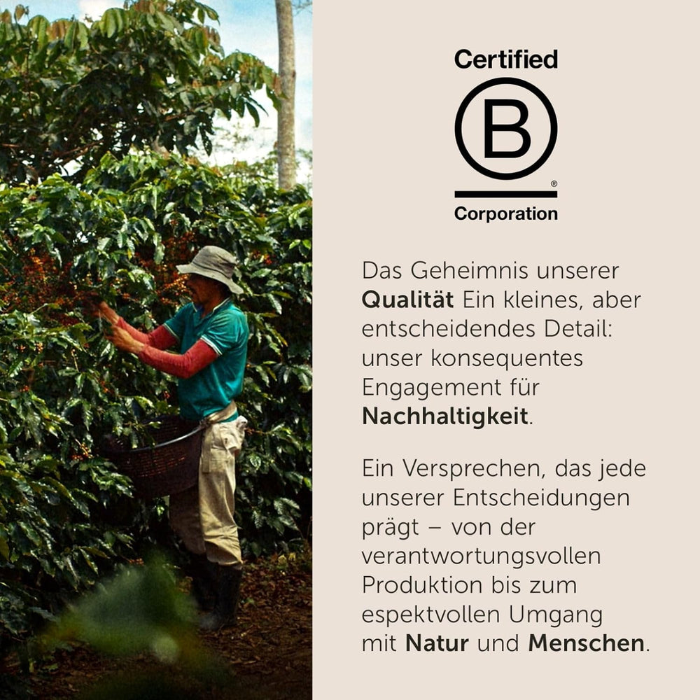 illy, Iperespresso Kapseln CLASSICO, 100 % Arabica mit Noten von Orangenblüten und Jasmin, Sanfter Geschmack und Süßer Nachgeschmack, 6 Packungen à 18 Kapseln (Insgesamt 108 Kapseln)