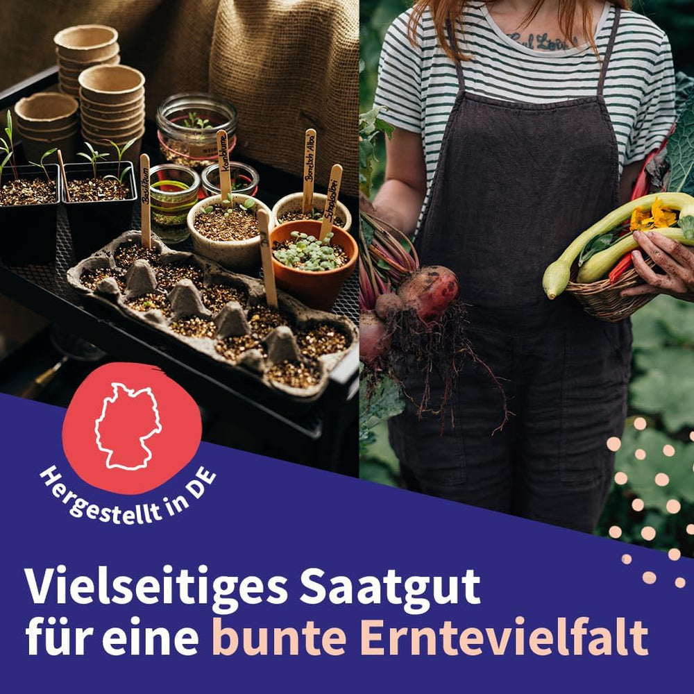 Varázskerti magvak - Közép-európai gyógynövény magkészlet - 12 hagyományos gyógynövényfajta - Örökségfajták - Kertkiegészítők - Növénymagok - Ajándék kertbarátoknak