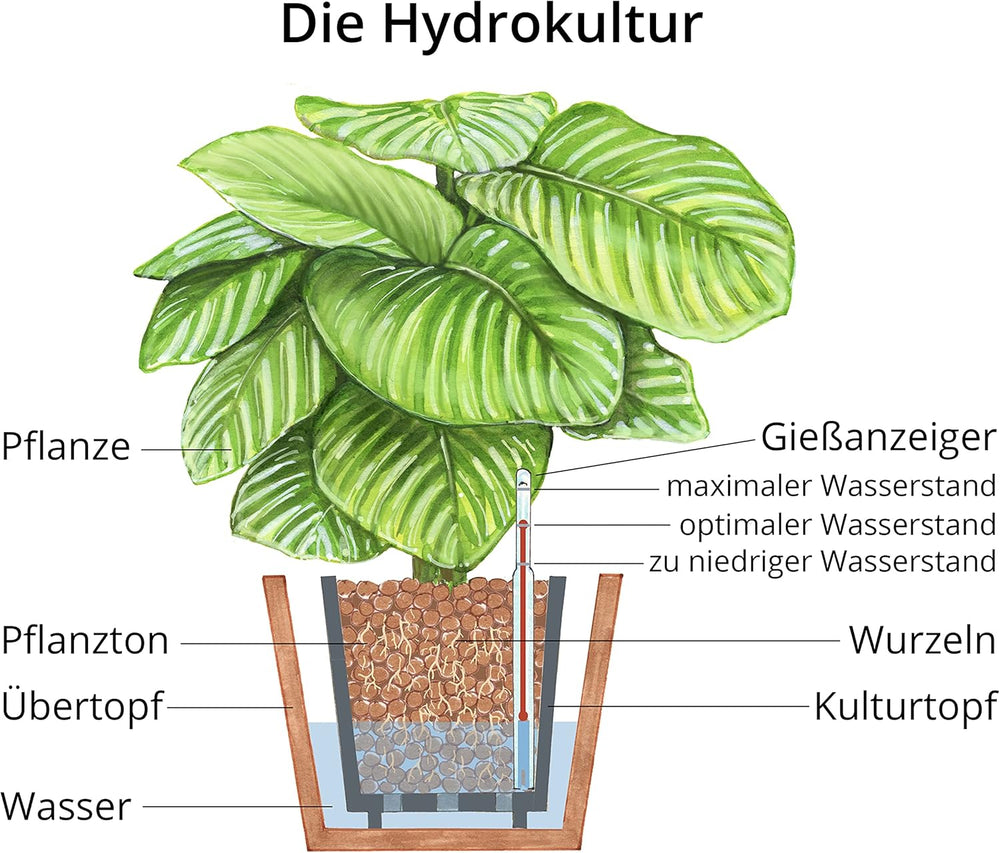 Dehner Planting Clay, 10 l, 4/8 mm szemcseméretű, univerzális méretű