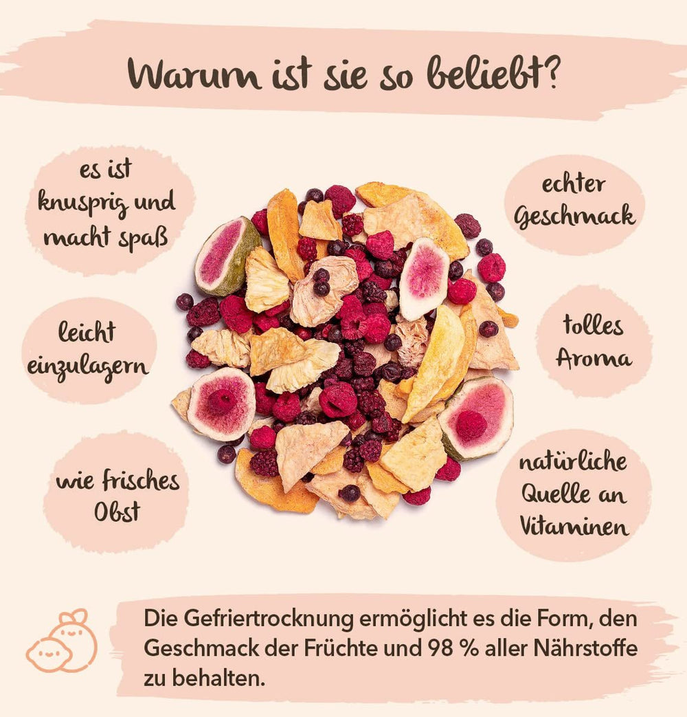 Brix Freeze-dried Fruit Fantastic Four (80g) - Preț bun gust, gustare delicioasă și sănătoasă, uscată crocantă, bogată în vitamine Produse deshidratate Naty Shop