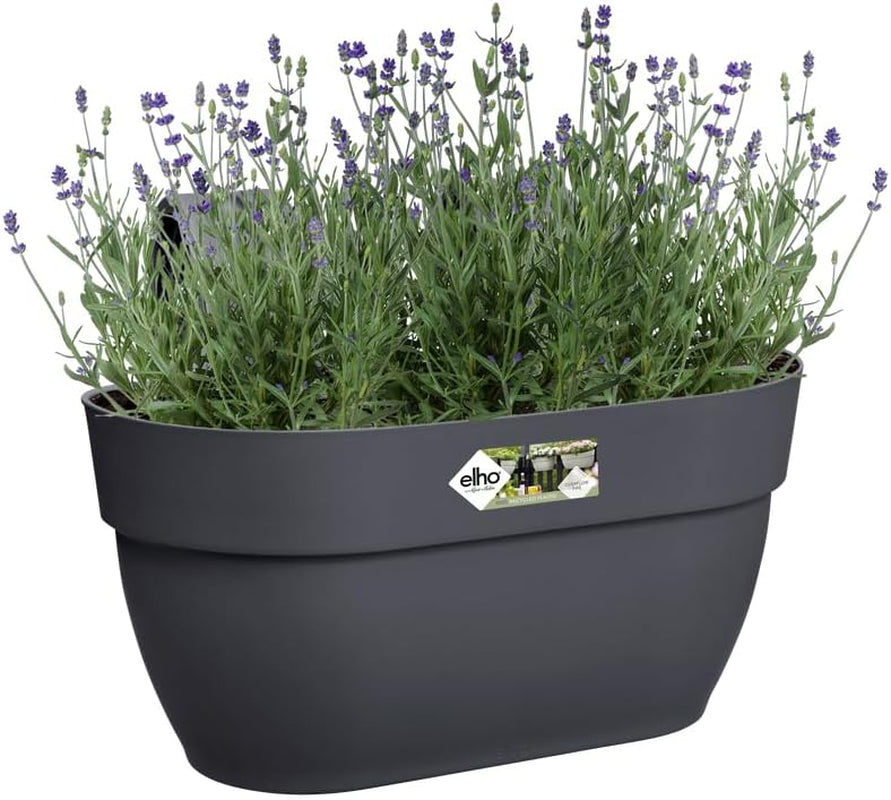 elho Vibia Campana Easy Hanger M 36 - Ghiveci pentru balcon și exterior - Ø 36,0 x H 26,5 cm - Negru/Antracit