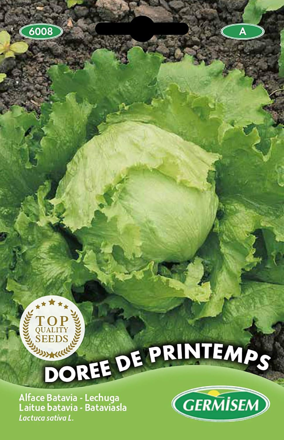 Schnittsalat FRISEE D´AMERIQUE, Mehrfarbig, EC6005