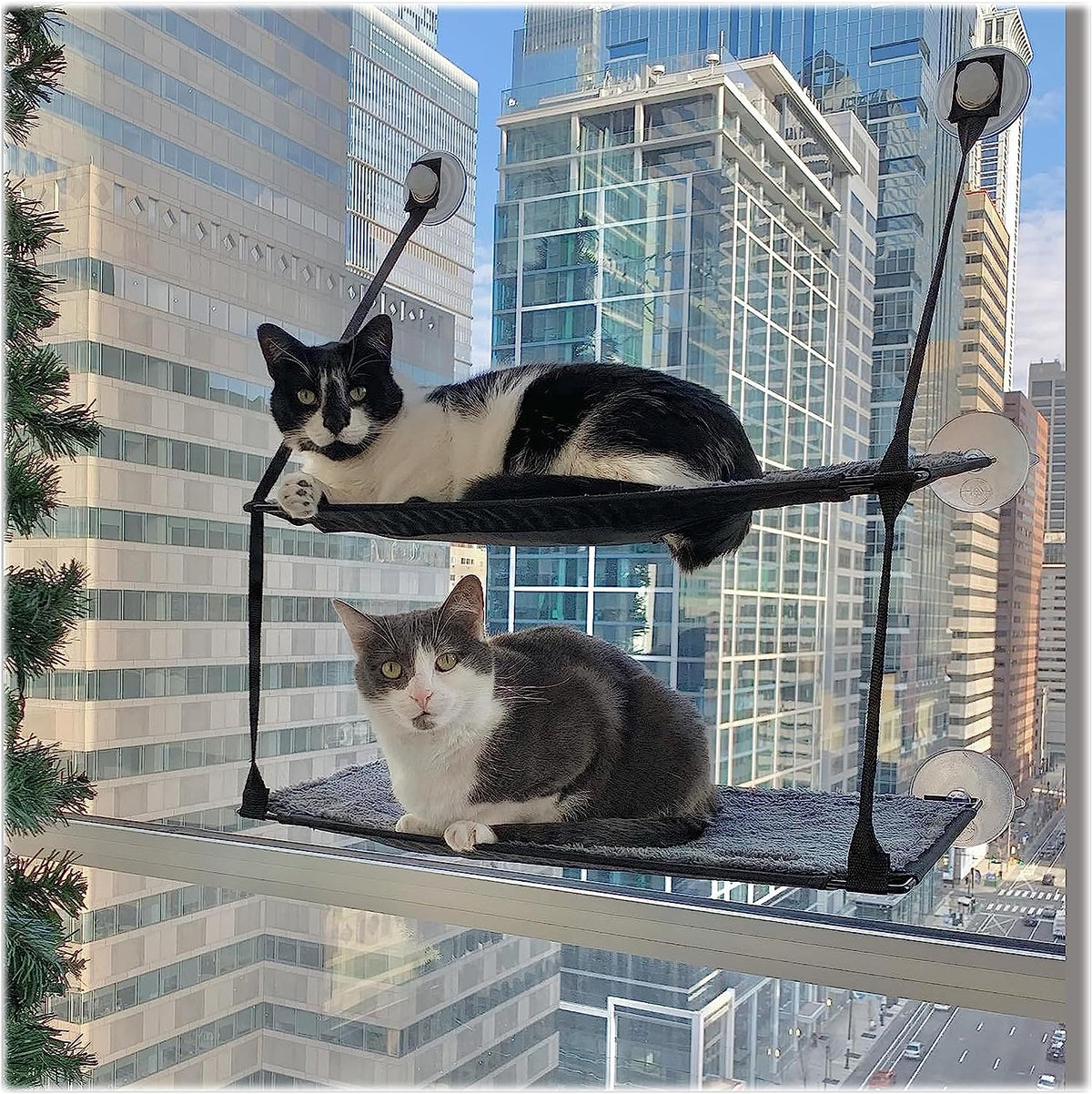 Pături și mobilier, Scaune ferestre, Animale de companie, Pisici, Paturi pentru pisici, Pisici - culcusuri, saltele