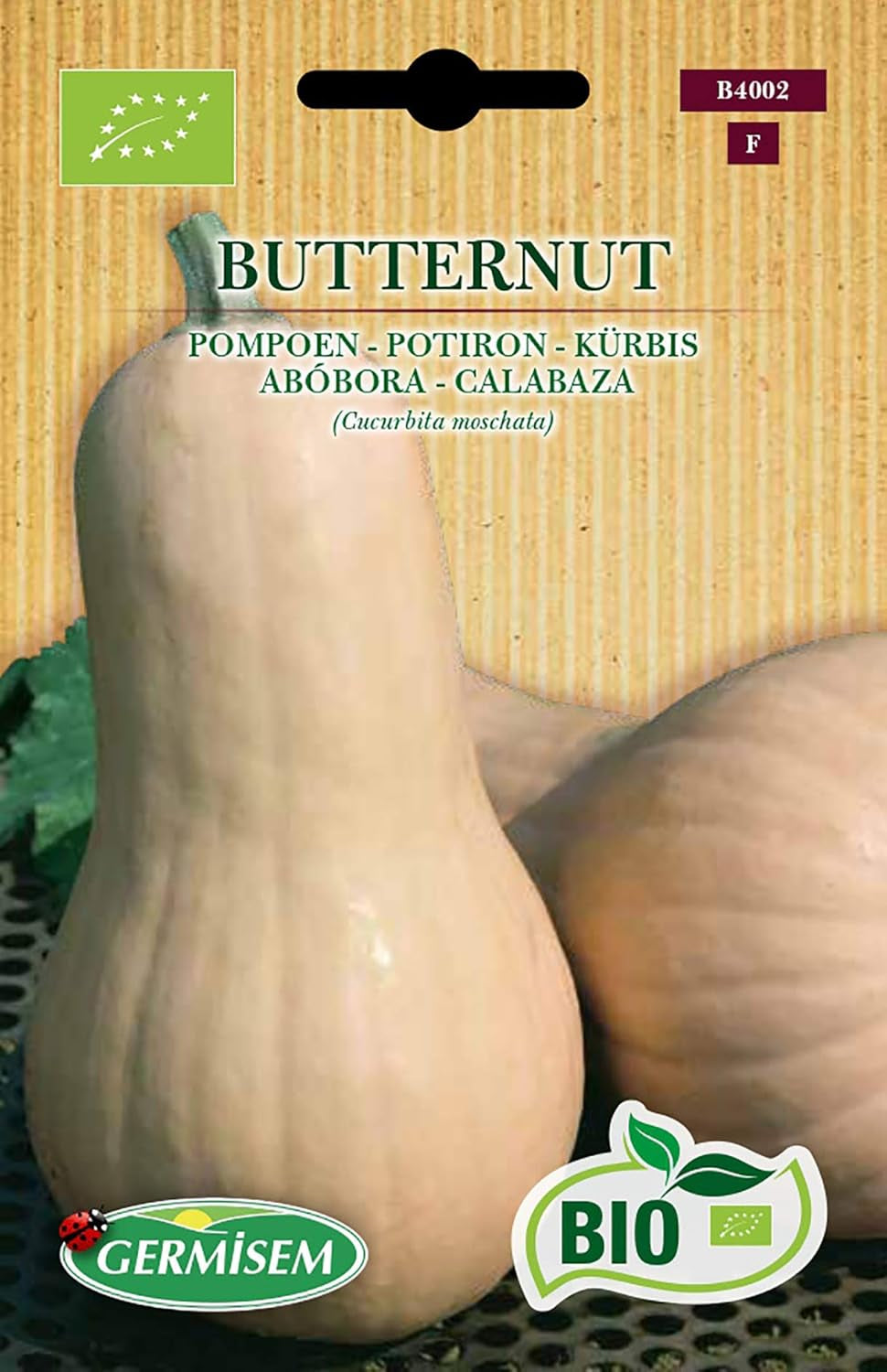 Kürbis BUTTERNUT, ECBIO4002 & Kürbis UCHIKI KURI, ECBIO4007