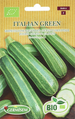 Zucchini OLA GABRIELLA, ECBIO4016