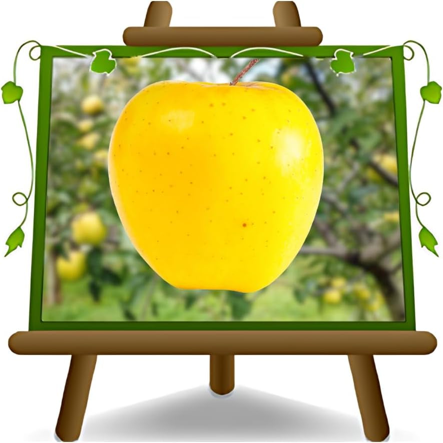 Apfelbaum Golden B – Antike Sorte, Topf Ø 20 Cm, Höhe 150–170 Cm, Alter: 2 Jahre – Italienische Baumschule