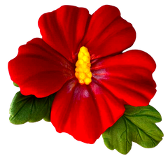 Ehető hibiszkusz virág – tortadekoráció 9,5 cm kézzel készítve