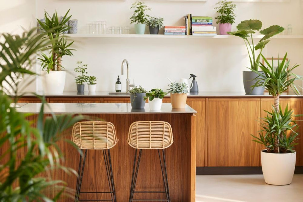 elho Brussels Round 18 - Ghiveci de flori de interior - Ø 18,3 x H 16,8 cm - Negru/Antracit