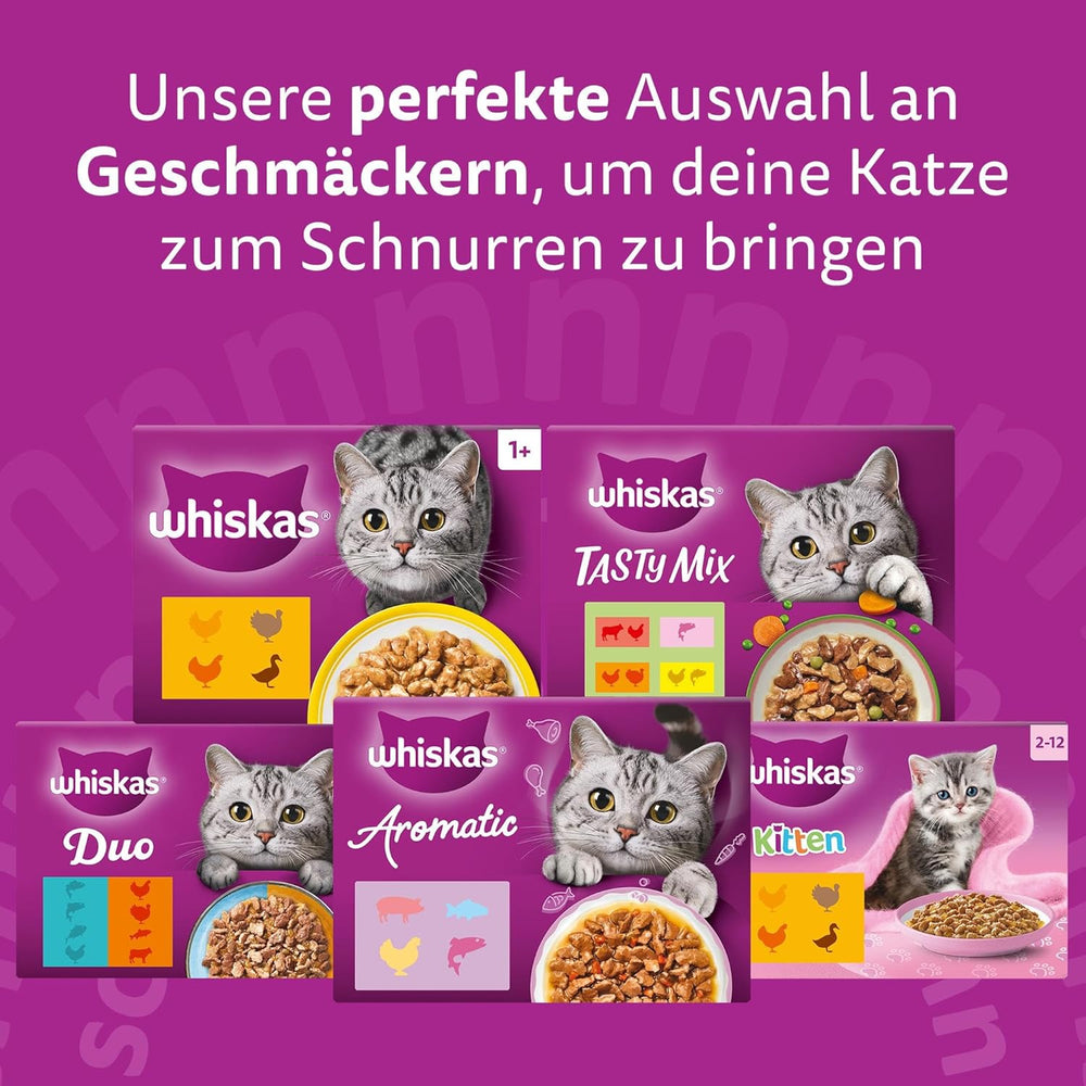 WHISKAS PURE DELIGHT Hrană umedă în jeleu 24 x 85g Ragout clasic (4 pachete) 48 pliculețe porționate