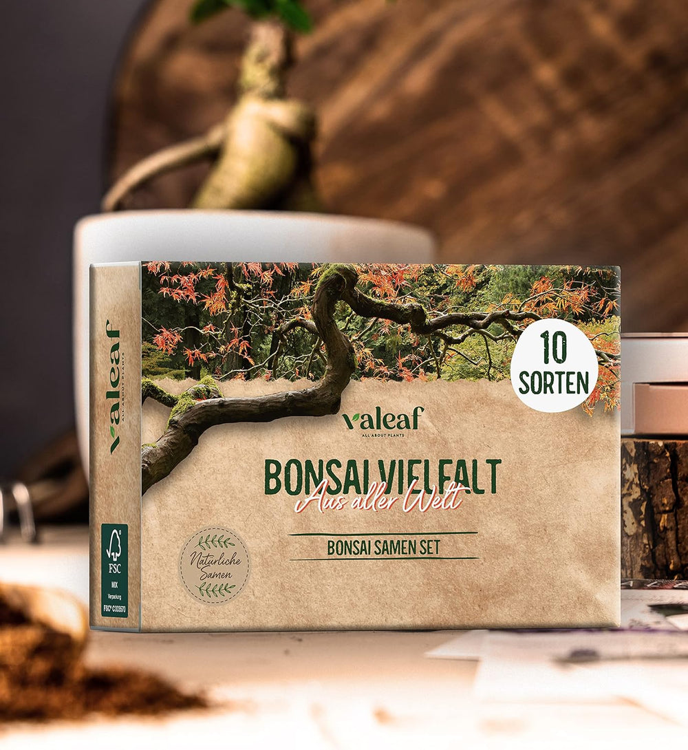 10 bonsai mag 5 kontinensről | Egzotikus famagok egyedi bonsaihoz | Kezdőkészlet és a növények szerelmesei | Bonsai készletünk különleges ajándékötlet