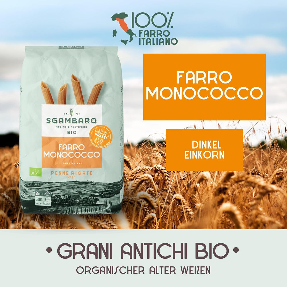 Bio Penne Rigate tészta N.91 - 500g Alacsony zsírtartalmú búza tészta - Rost- és fehérjeforrás